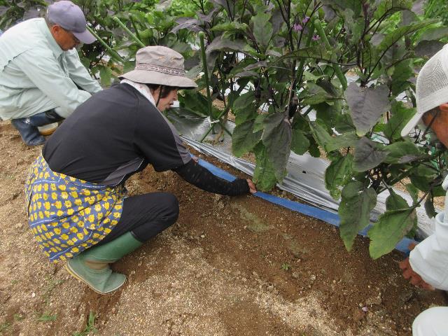 r70613実践コース潅水チューブ３