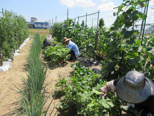 r7実践コース自由作管理