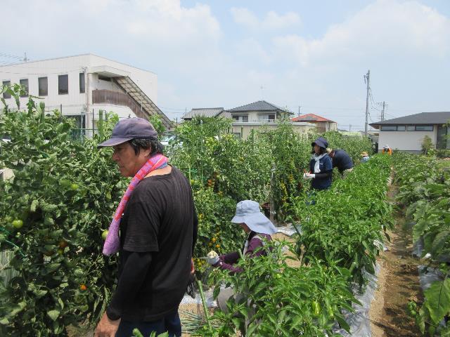 r70709野菜の管理１