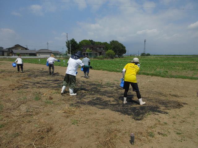 r70731ようリン散布