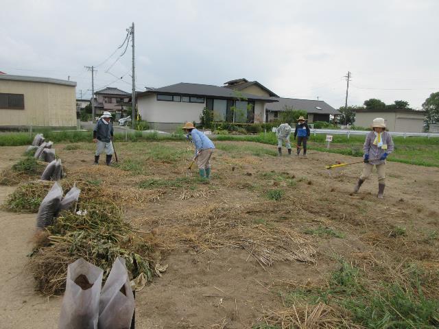 r70801地ならし