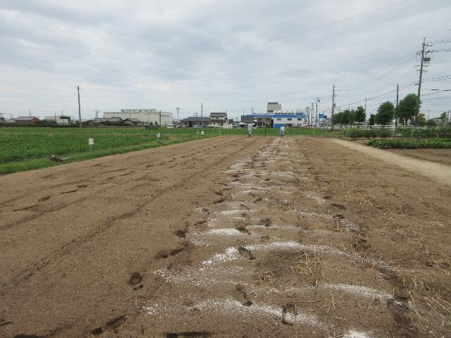 r70812オラクル散布2