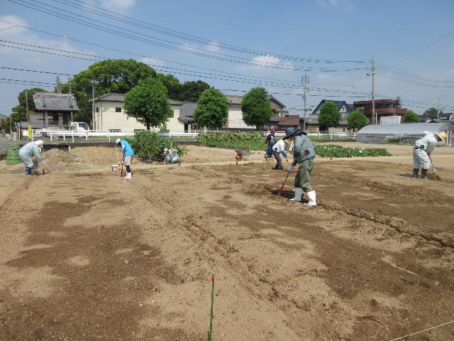 r70819実践区画割り2