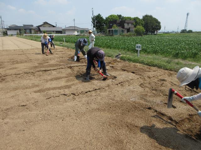 r70819実践元肥粗起こし