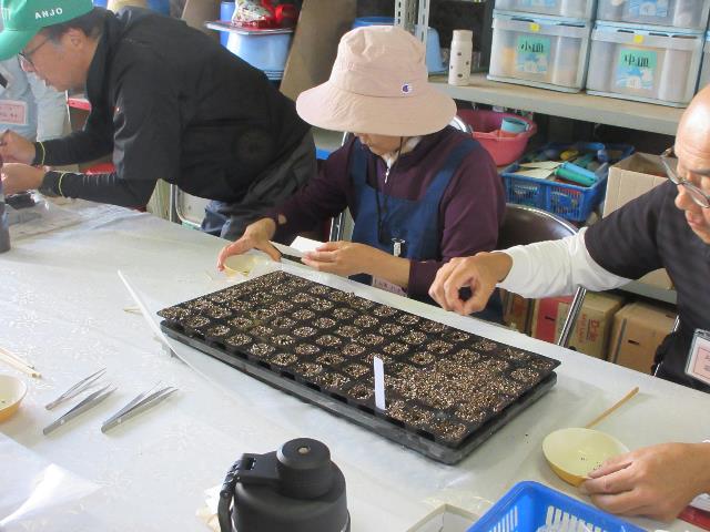 r71010チマサンチュ1