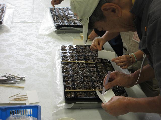 r71010チマサンチュ2