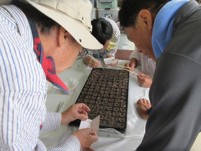 r71010チマサンチュ3