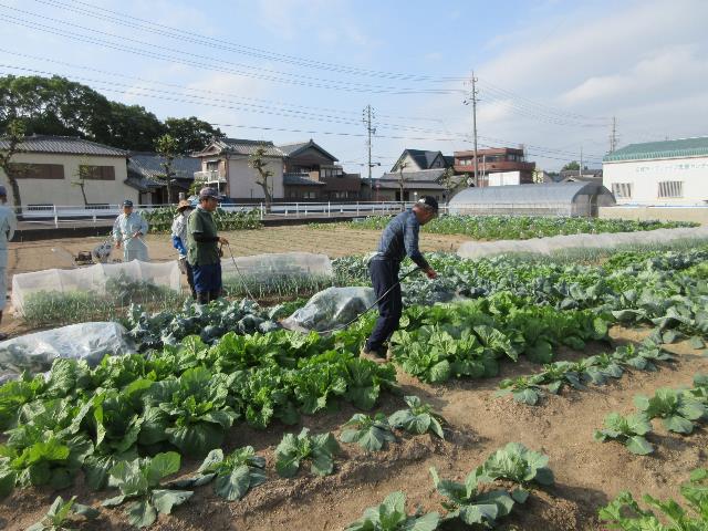 r71015実践コース消毒3