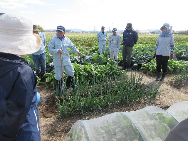 r71029太ネギ土寄せ1