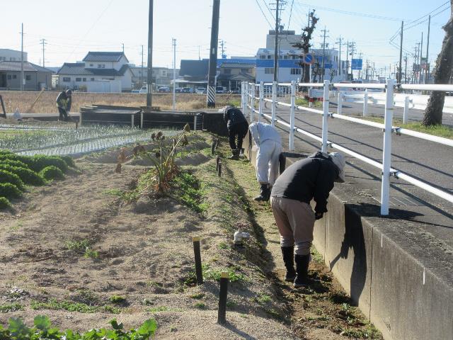 r71210西圃場の除草2