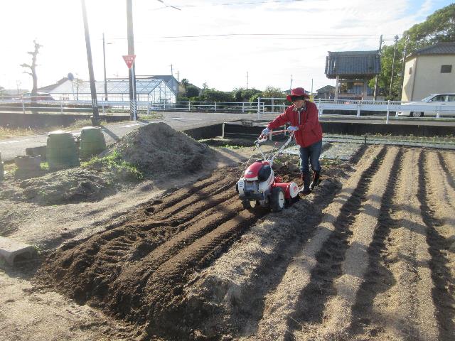 r71111エンドウ豆圃場