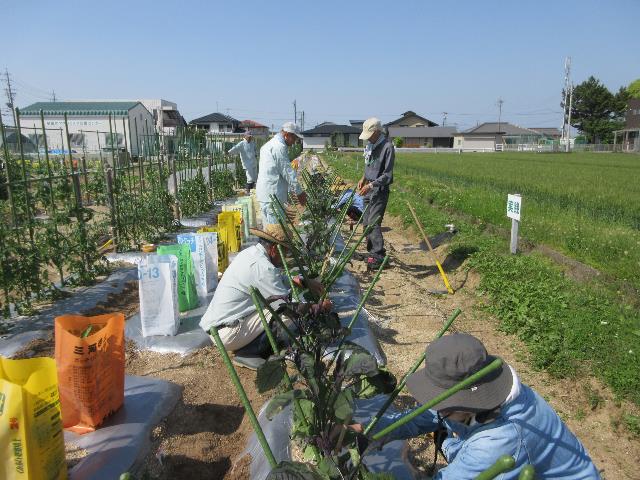 r7実践ナス2