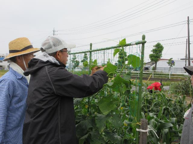 r7実践6