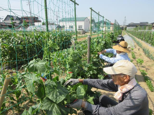 r7実践誘引2