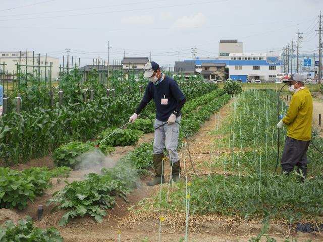 r7薬剤散布2