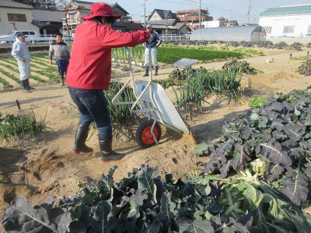 r80113実践コース1