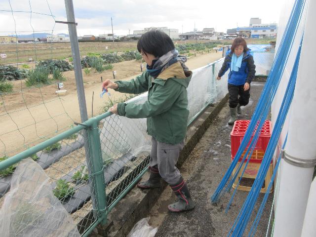 r80114ビニール干し3