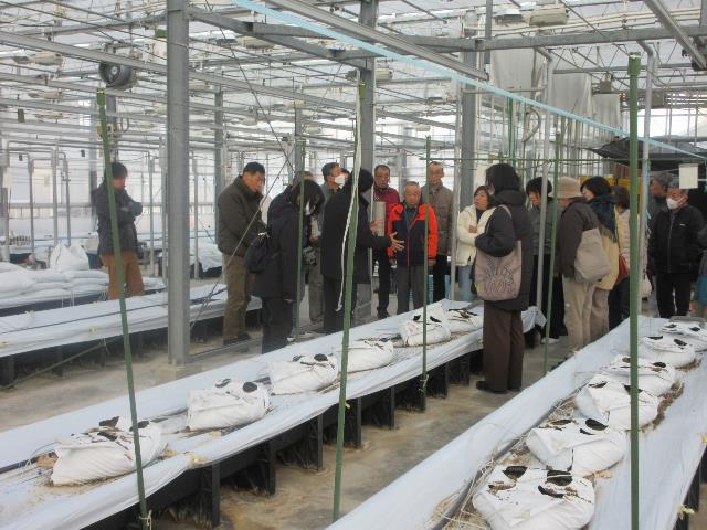 r80116安城農林高2