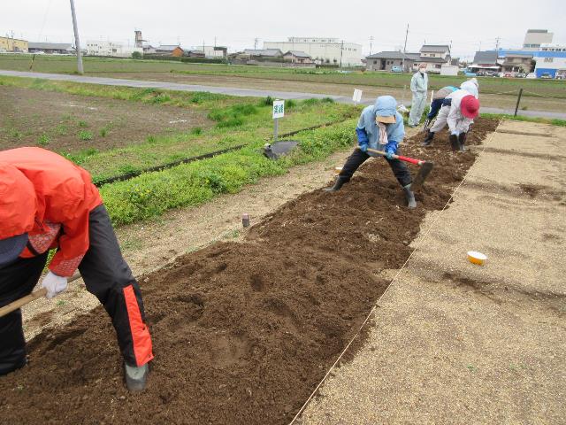 r80331実践元肥え2