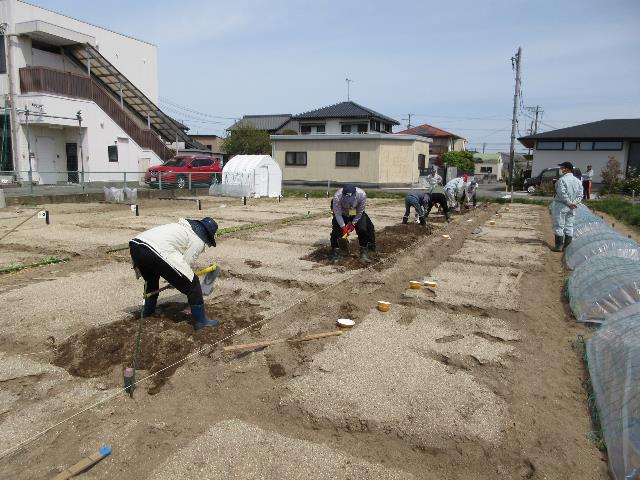 r80409シルバーマルチ張り1