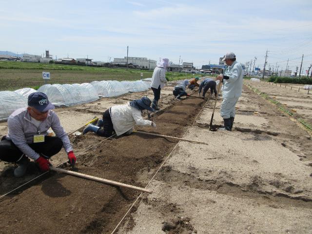 r80409マルチ張り2