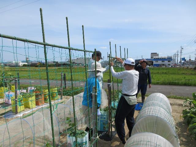 r80513実践支柱設営3