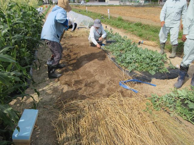 r80513実践スイカ1