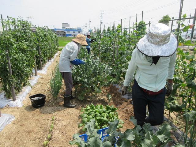 r80630実践潅水チューブ1