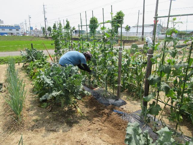 r80630実践潅水チューブ3