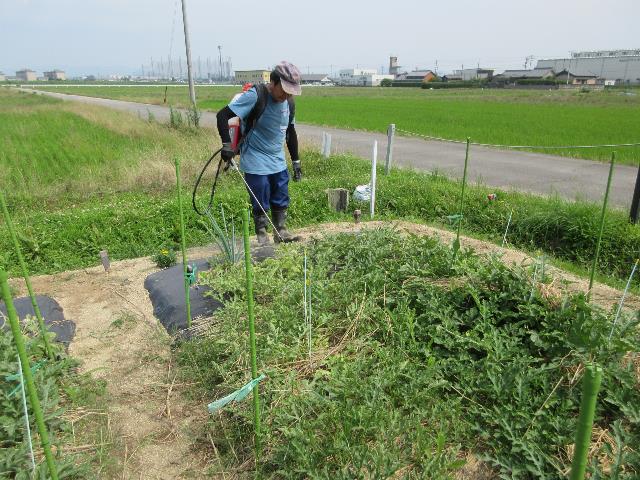 r80630実践消毒1