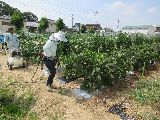 r80630実践消毒3