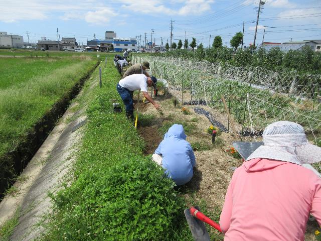 r80703排水路除草1