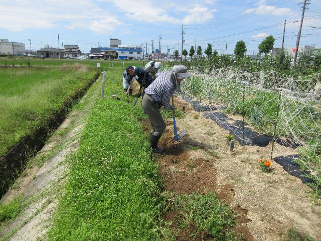 r80703排水路除草2