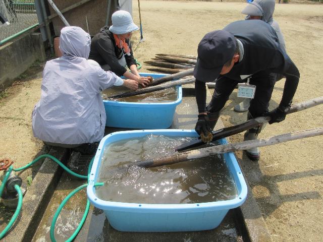 r80717木杭の洗浄