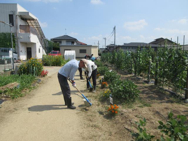 r80717除草1