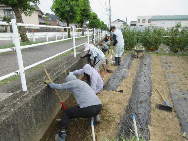 r80717除草3