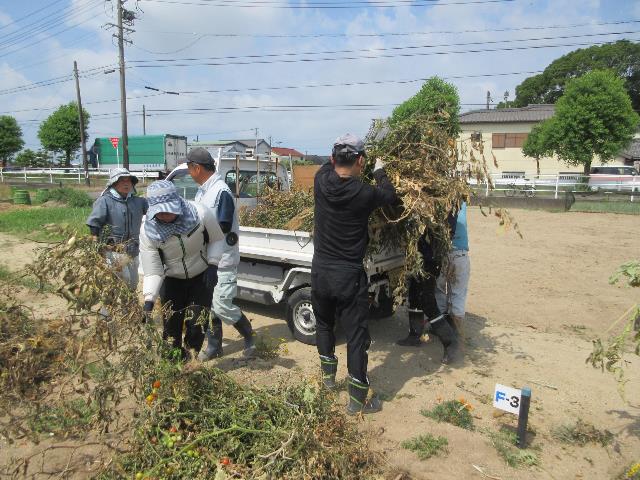 r80729野菜残渣積み込み2