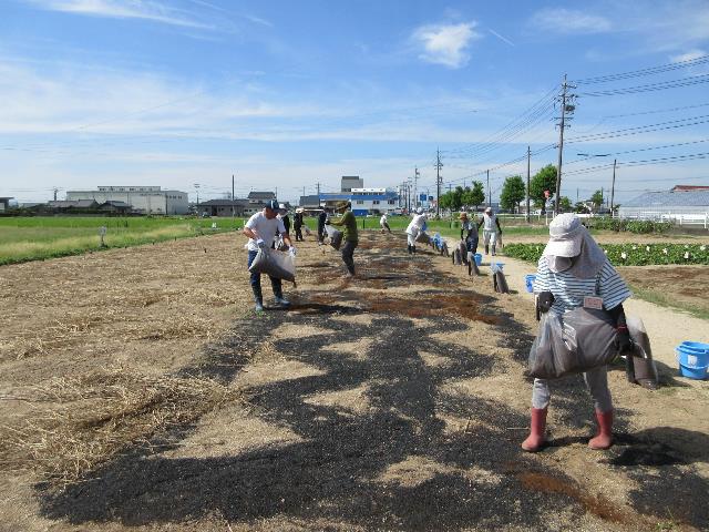 r80731もみ殻散布1