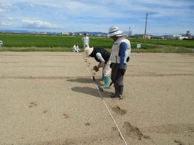 r80818実践区画割り4