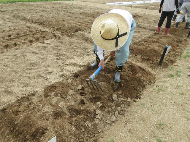 r80902元肥粗起こし3