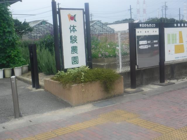 体験農場見学