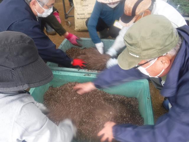 用土調整