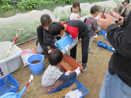 R7いちごプランター1