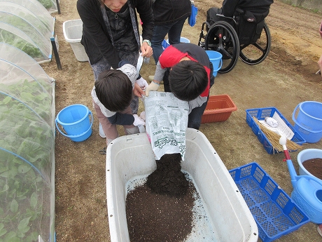 R7いちごプランター2