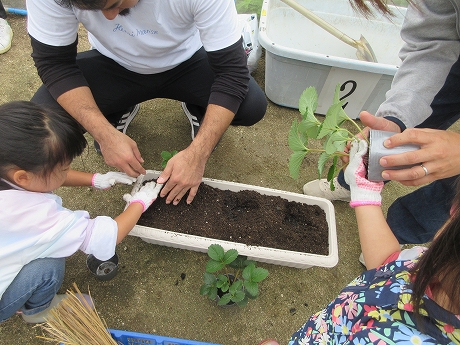 R7いちごプランター3