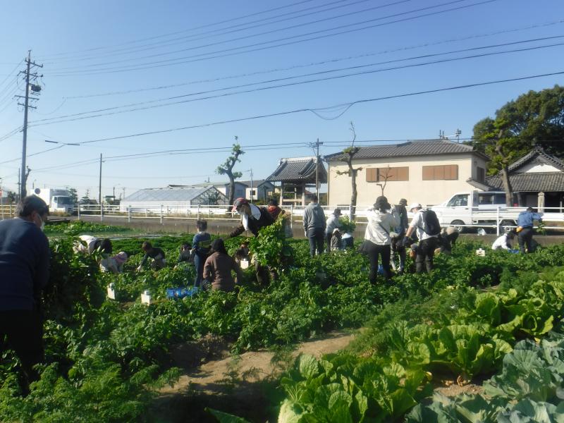 令和4年親子秋ジャガ収穫1