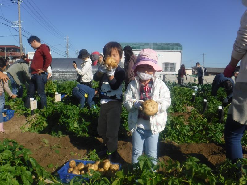 令和4年親子秋ジャガ収穫2