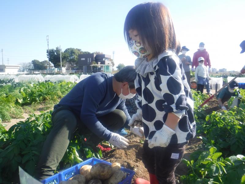 令和4年親子秋ジャガ収穫4