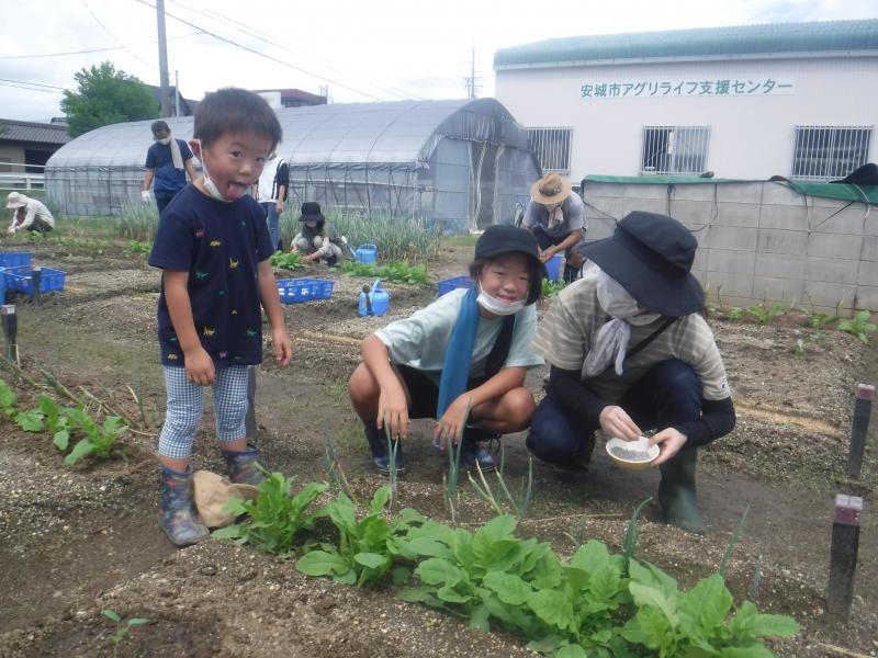 令和4年一坪秋冬26