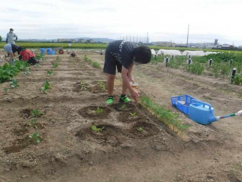 令和4年一坪秋冬35